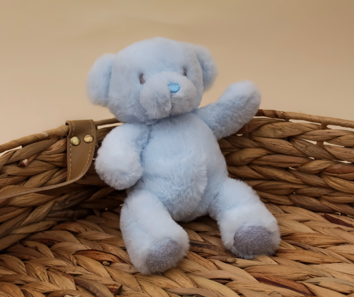 baby blue bear cuddly toy