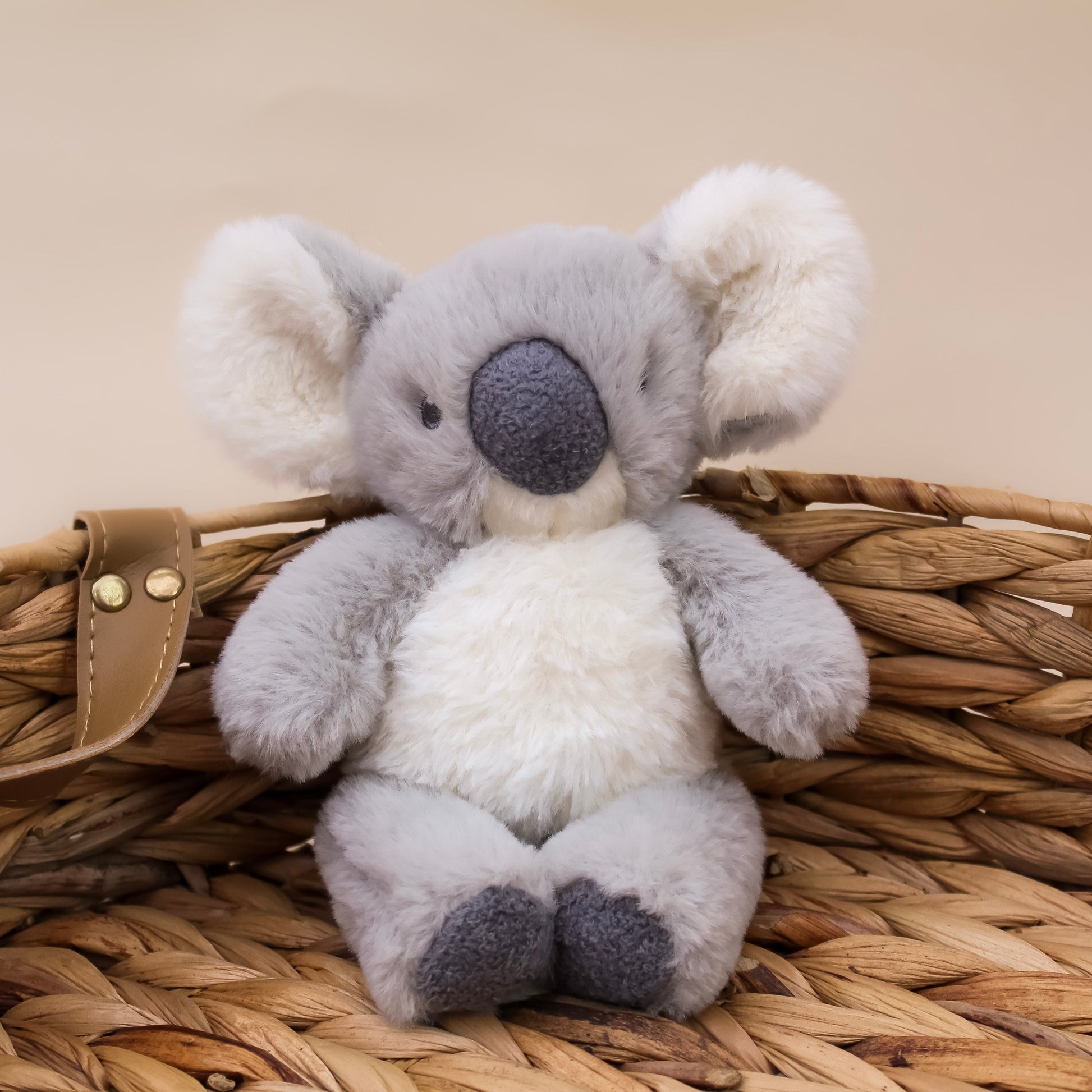 grey and cream baby koala soft toy