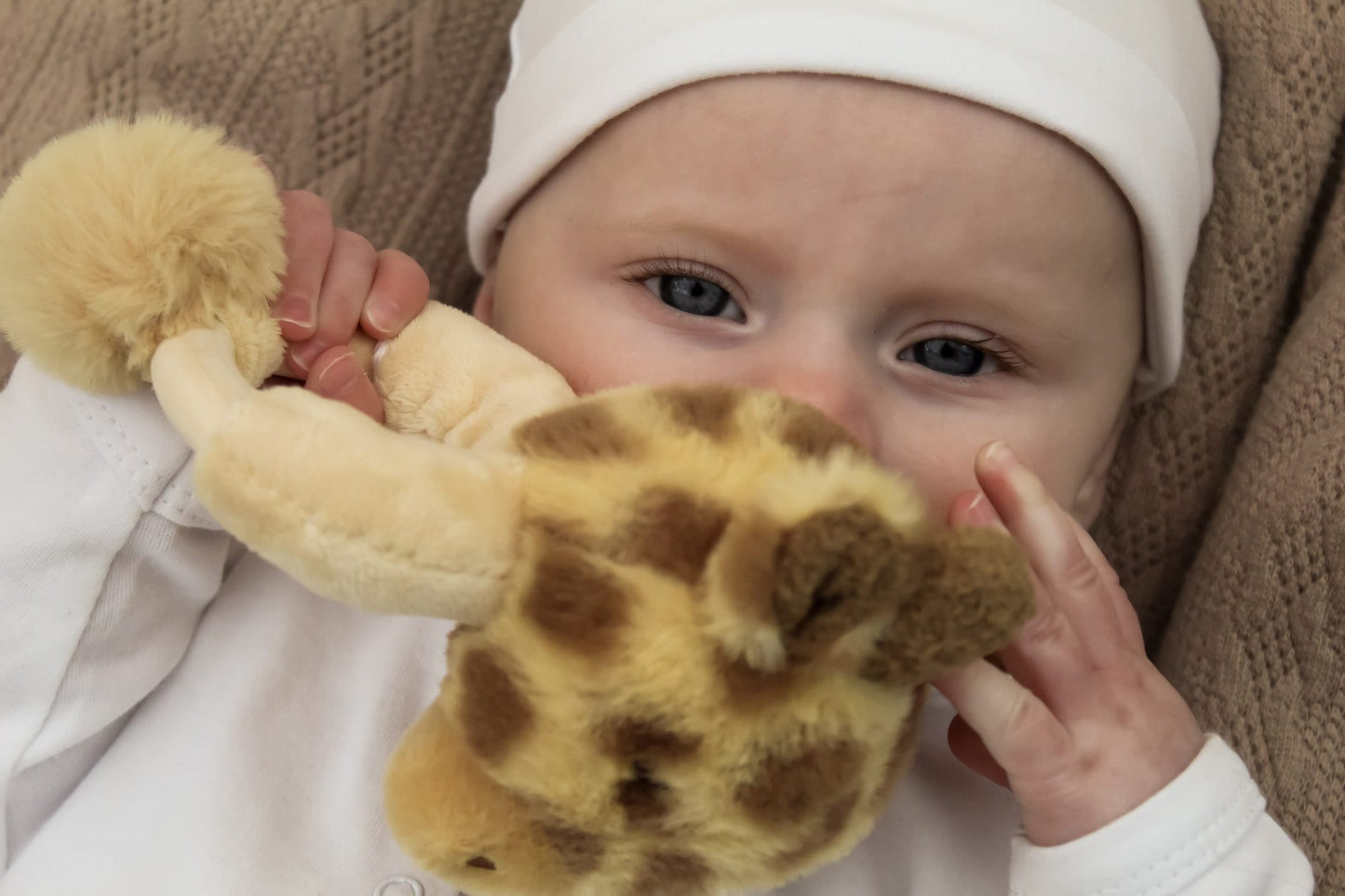 baby giraffe rattle